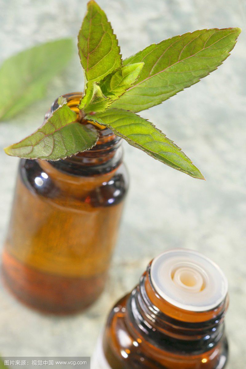 薄荷油 薄荷油