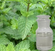 簡單制作薄荷油